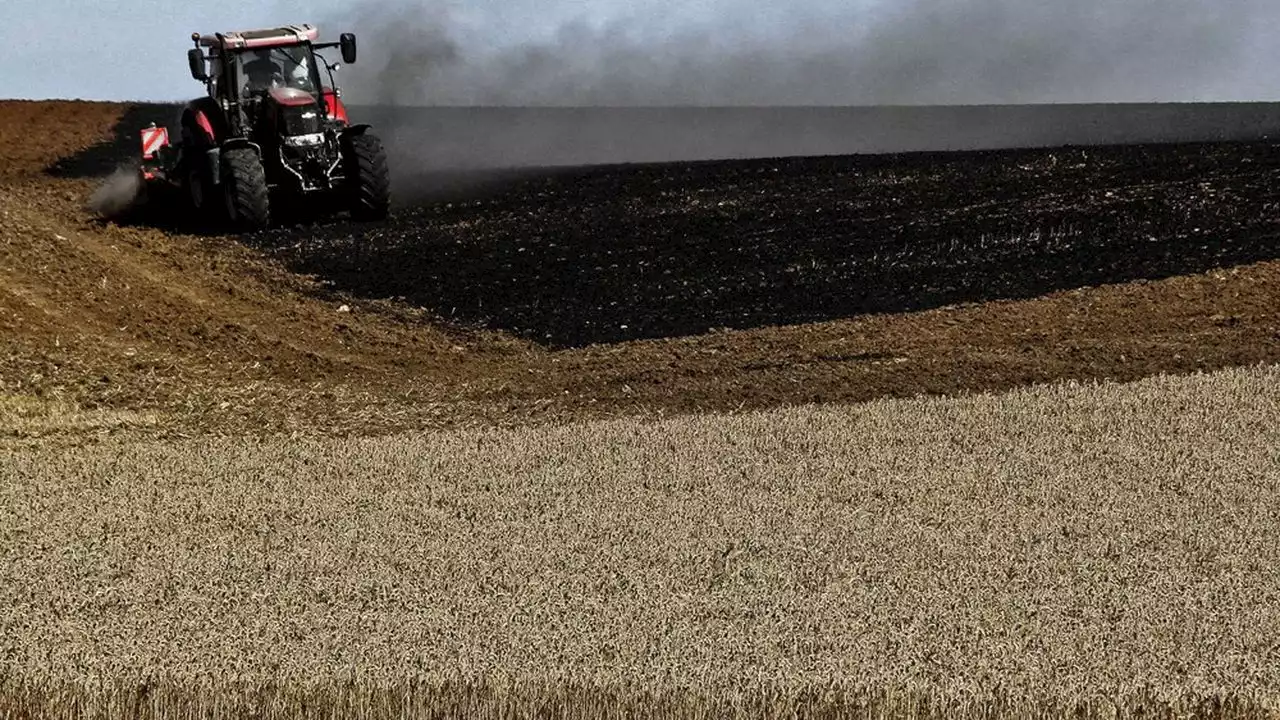 Climat, énergie, Ukraine… l'agriculture européenne en plein chaos