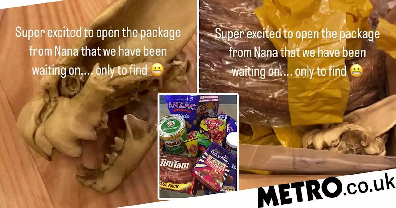 Family expecting Christmas parcel full of biscuits and sweets find a skull