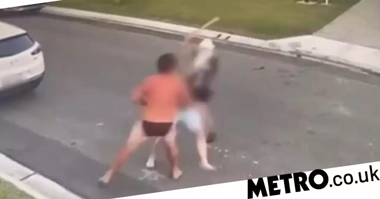 Man fights off suspected thieves in his underwear on Boxing Day