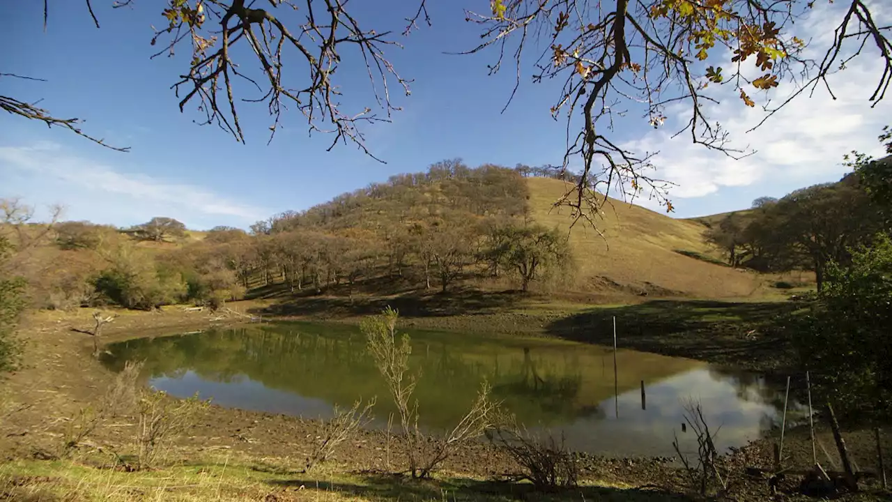 Private Plot at Mount Diablo to Go to Land Preservation Group