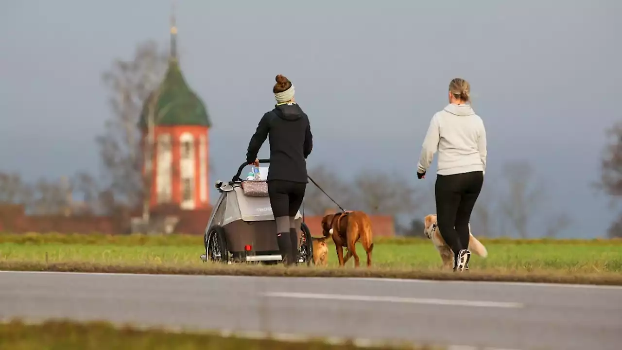 Jahreswechsel riecht schon fast nach Frühling