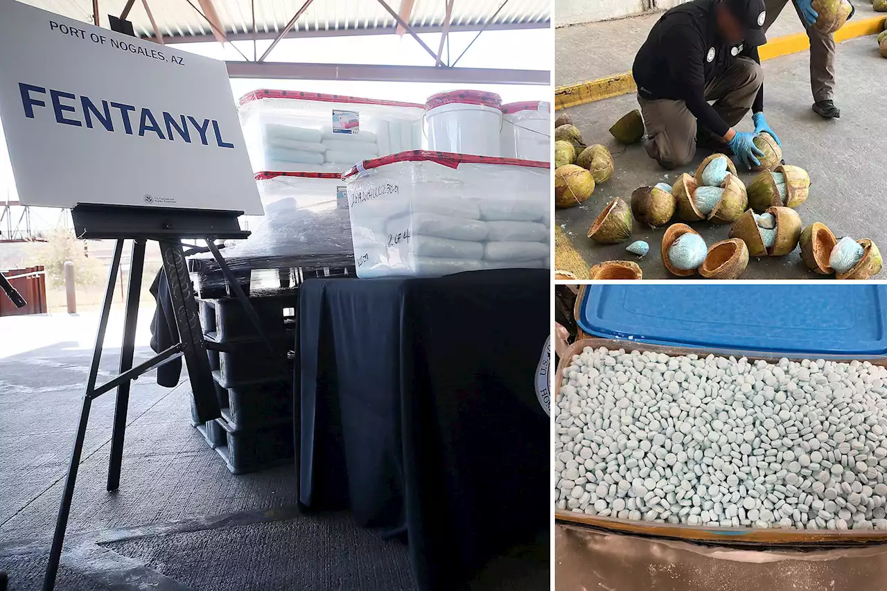 Fentanyl seizures at the border continue to shatter records in 2022