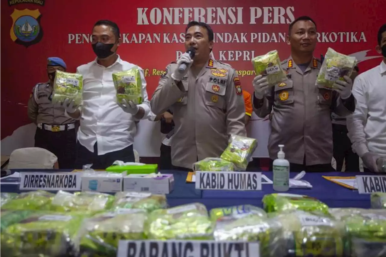 Polisi Amankan 8 Bungkus Kokain Berbendera Israel di Pulau Jemaja |Republika Online