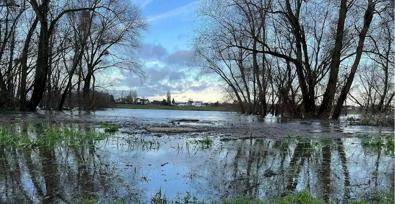 Regen in Düsseldorf: Hoher Rheinpegel lässt Strand verschwinden