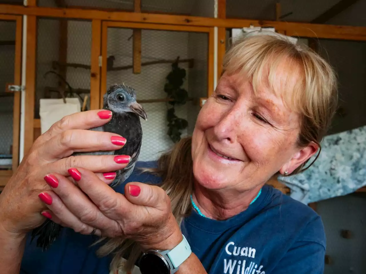 Three days left to vote for Shropshire wildlife rescue centre to get up to £2,000