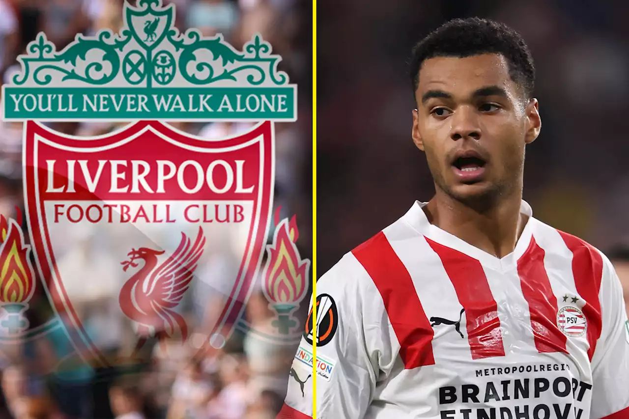 Liverpool to pinch Cody Gakpo off Man United as PSV announce agreement for transfer