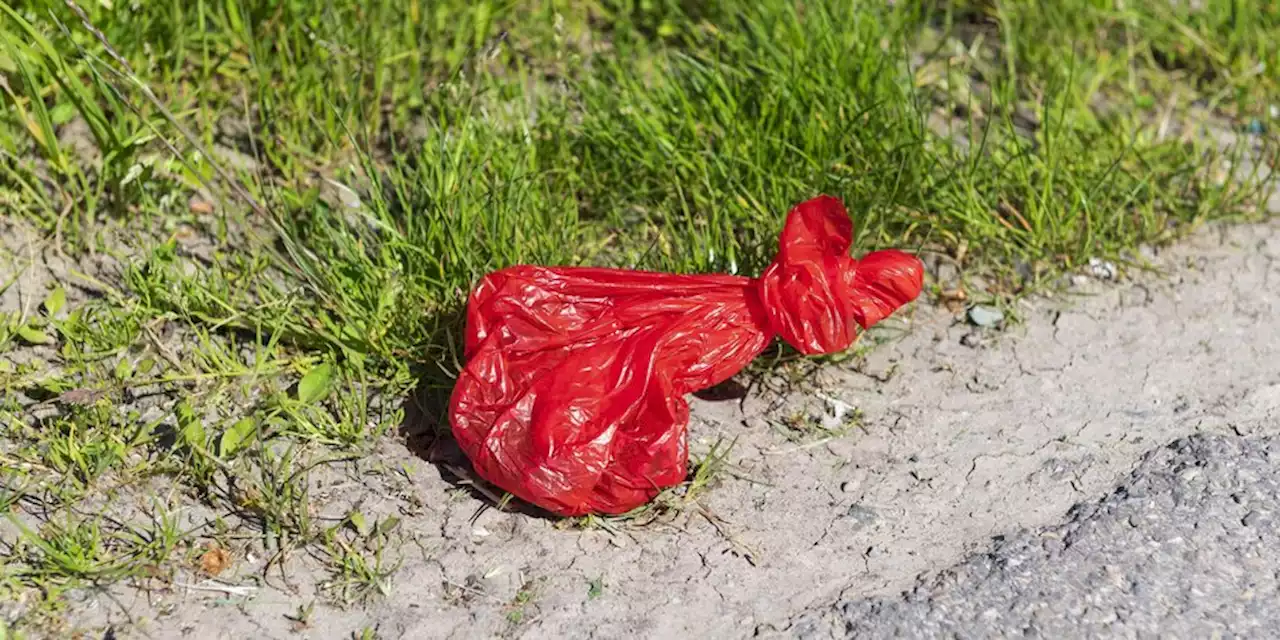 Die Verständnisfrage: Kacke gehört nicht in die Jacke!