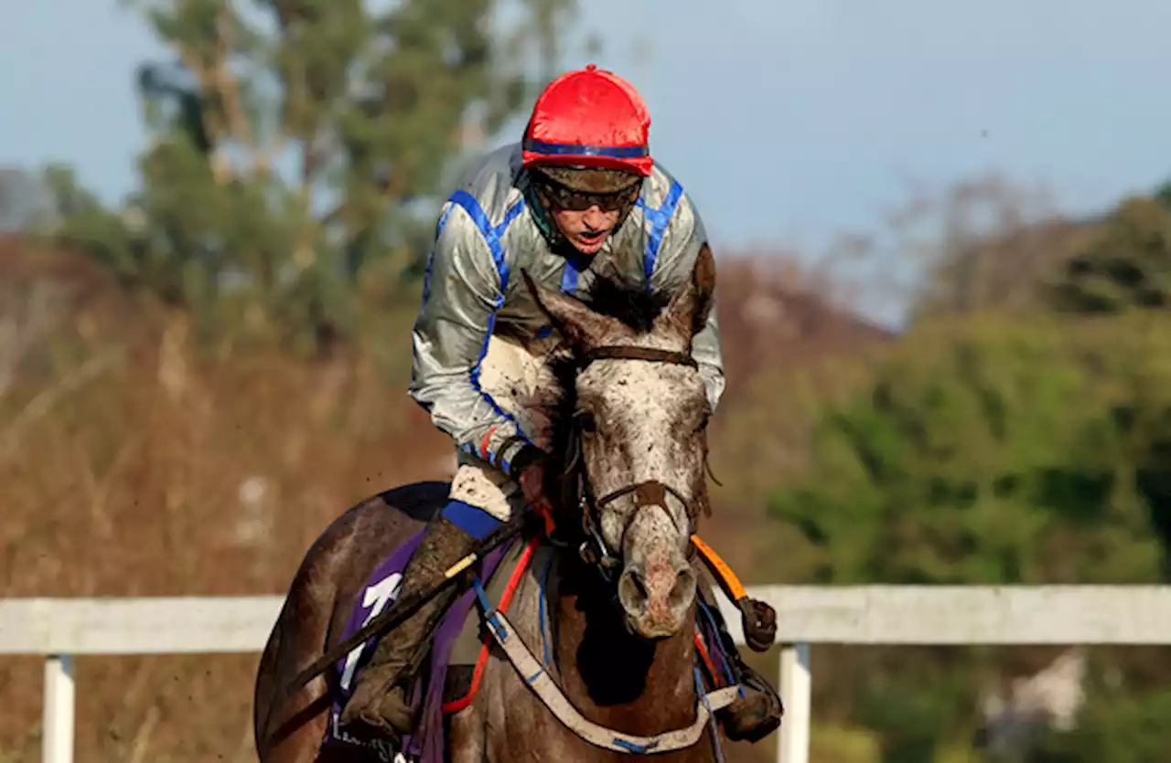 3 best bets for Tuesday's card at Leopardstown