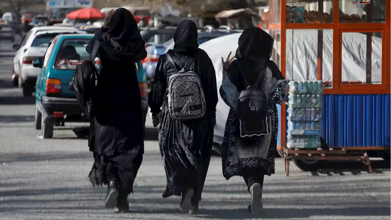 Aid Groups Halt Programs in Afghanistan to Protest Ban on Female Workers