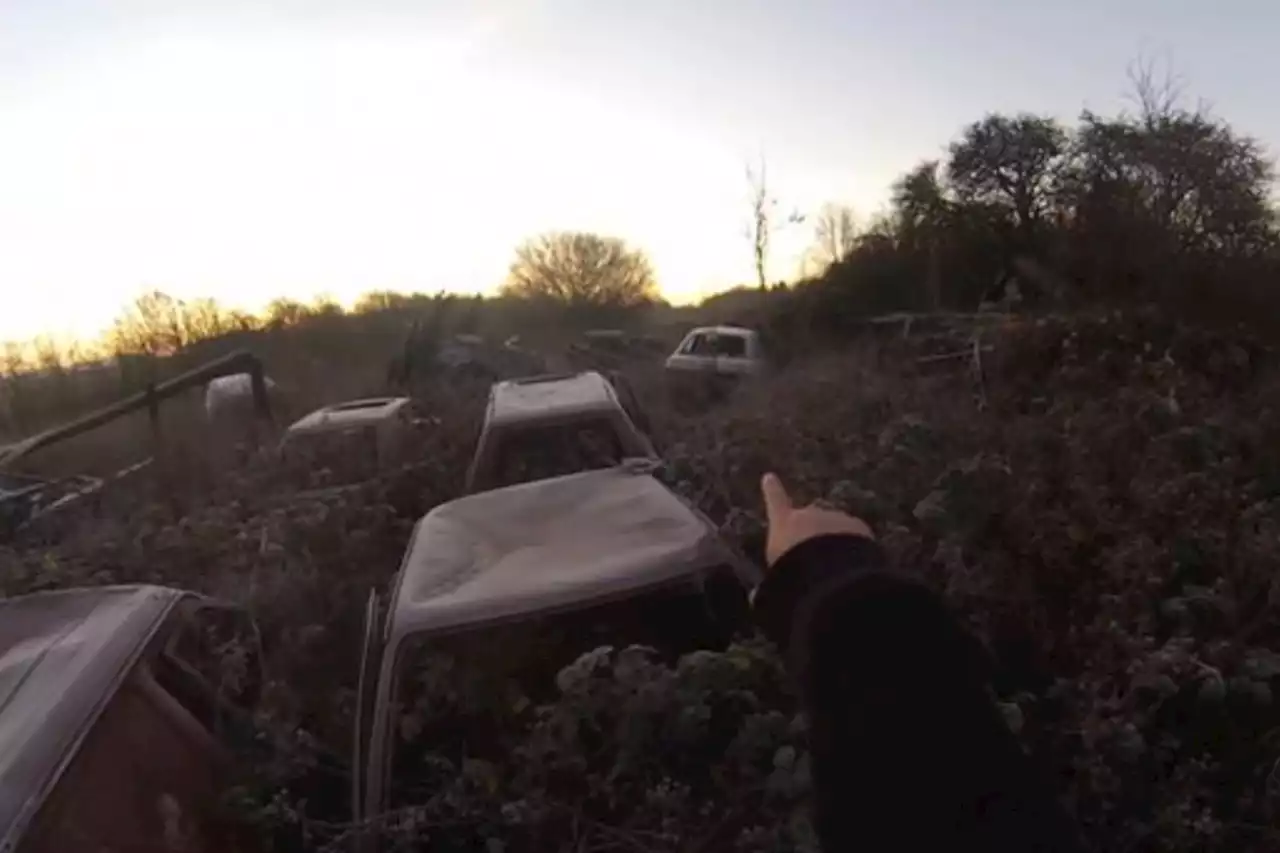 Inside creepy car graveyard with dozens of vintage Fords were left to rot