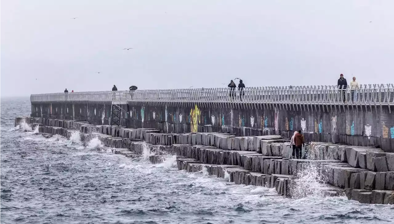 Strong winds cancel ferry sailings between Swartz Bay and Tsawwassen