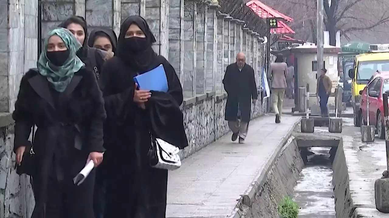 Taliban Bars Women From University and Working for NGOs in Afghanistan