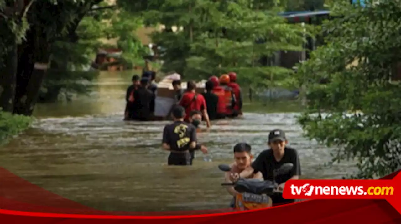 Pemprov DKI Jakarta Atasi Banjir Rob dengan Tanggul Raksasa, Pengamat: Lebih Baik Hutan Mangrove