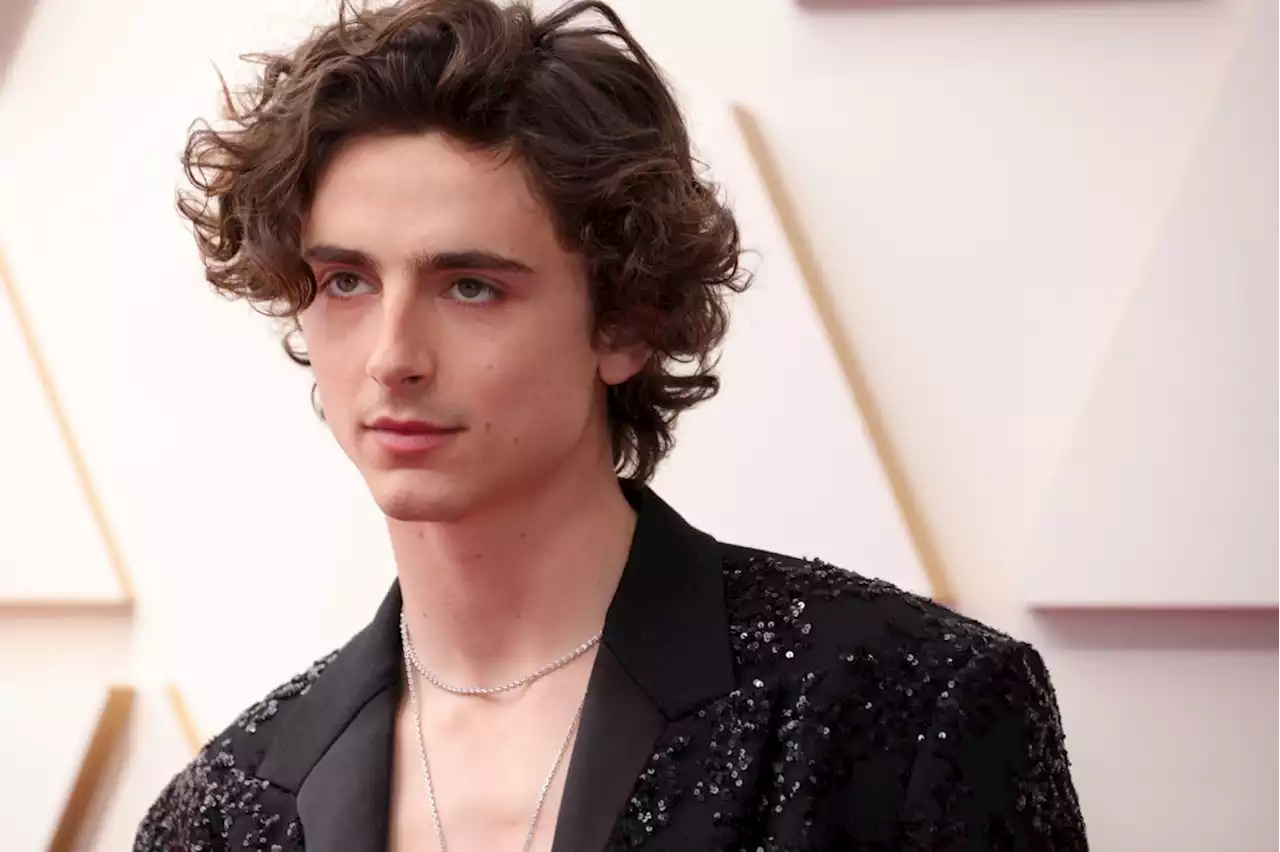 Timothée Chalamet’s Best Red Carpet Moments of 2022