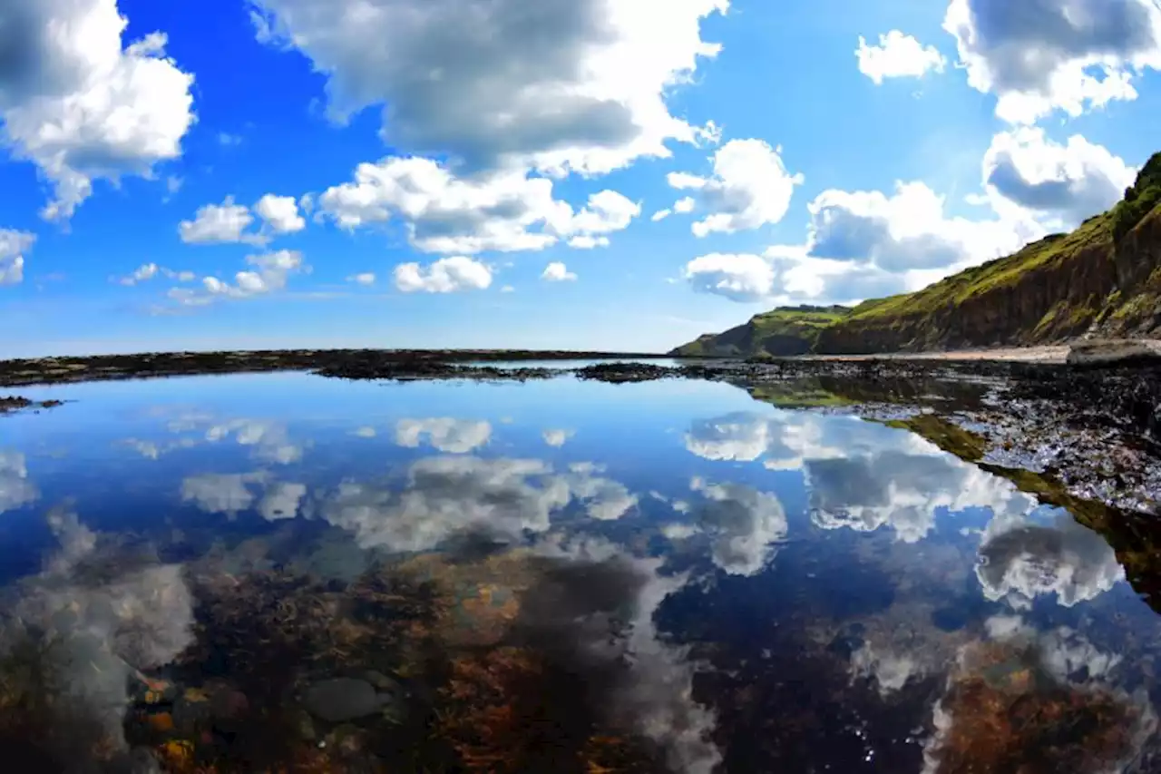 England Coast Path walk: Ravenscar to Robin Hood’s Bay circular