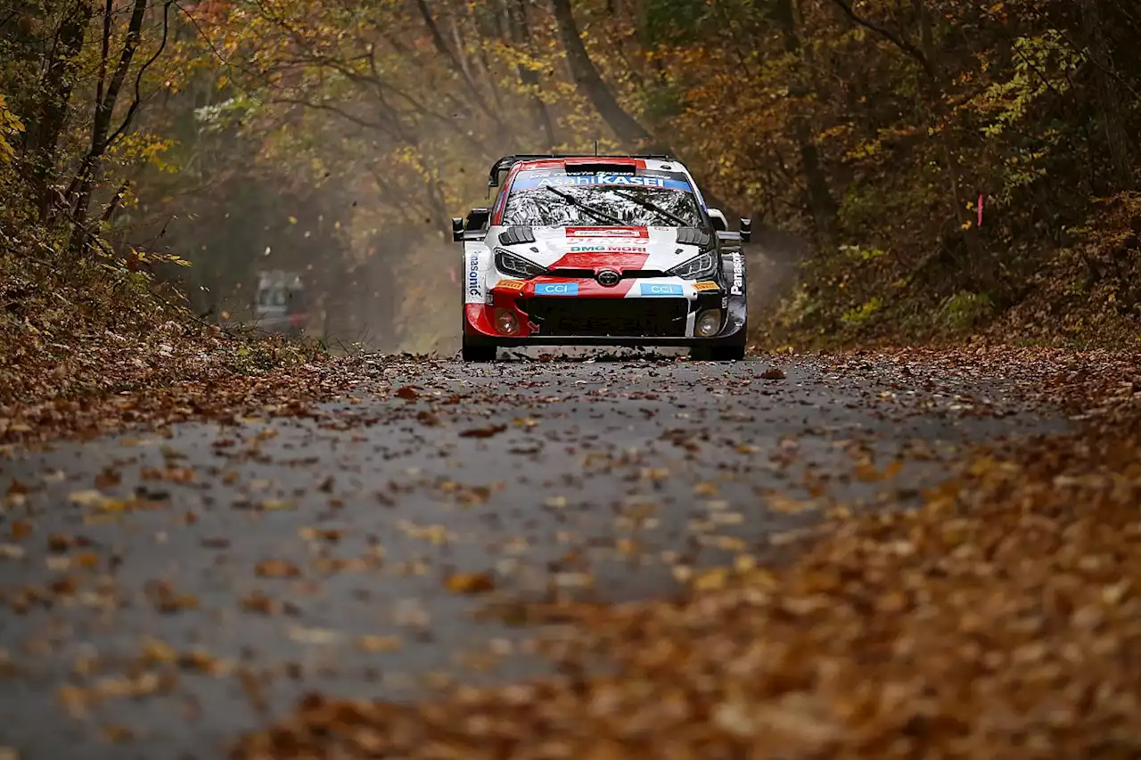 FIA content after first year of WRC Rally1 regulations