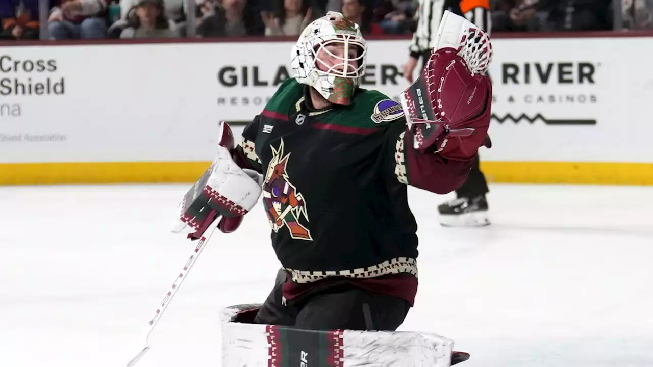 Arizona Coyotes create flurry of offense in 6-3 win over Colorado Avalanche