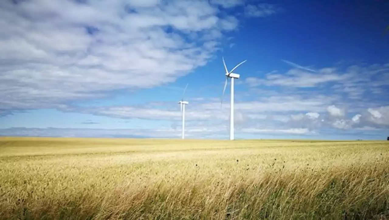 Der dänische Bauernverband gibt sich geschlagen und knickt bei der geforderten CO2-Steuer ein - bauernzeitung.ch