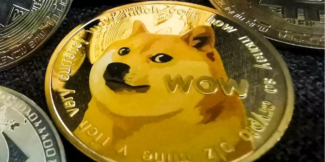 The internet-famous Shiba Inu who inspired a cryptocurrency is seriously ill with cancer | Business Insider