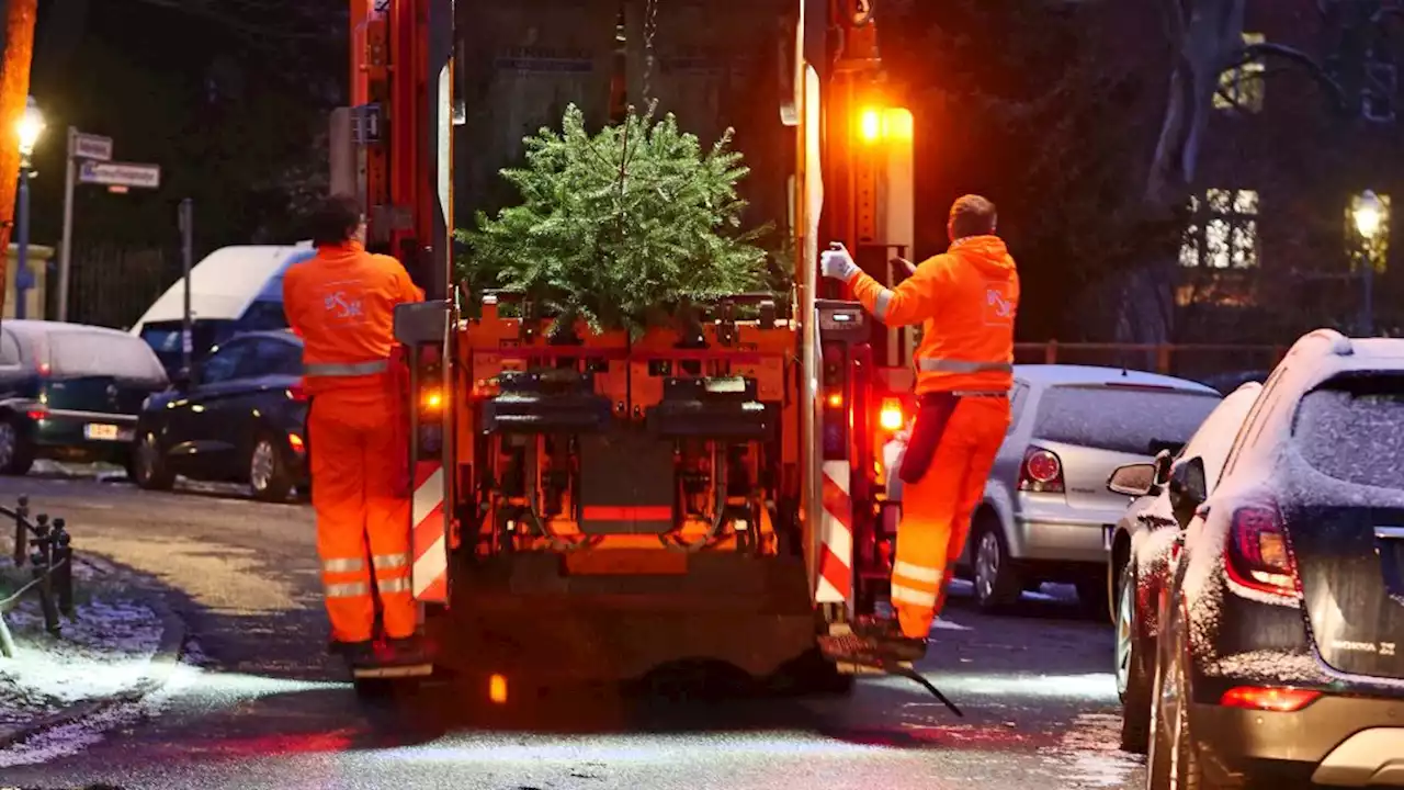 Dann holt die BSR ihren Weihnachtsbaum ab