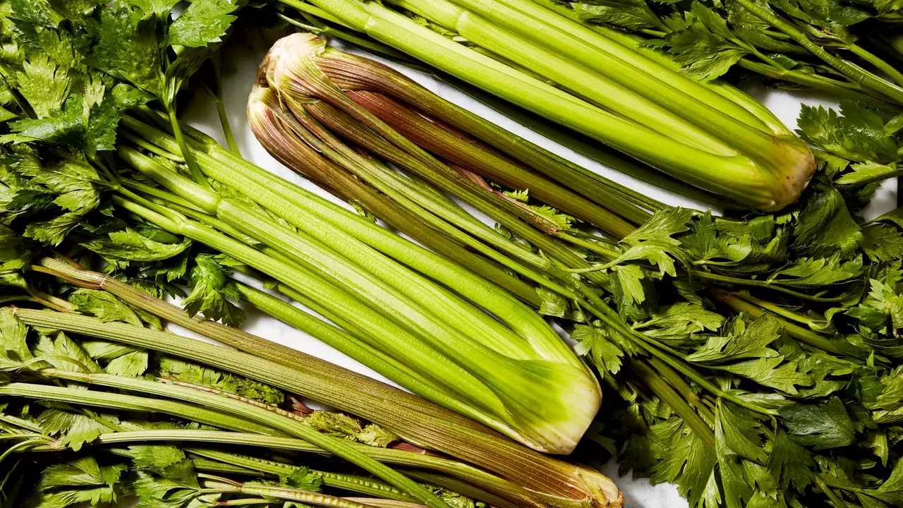 The Secret History of Celery