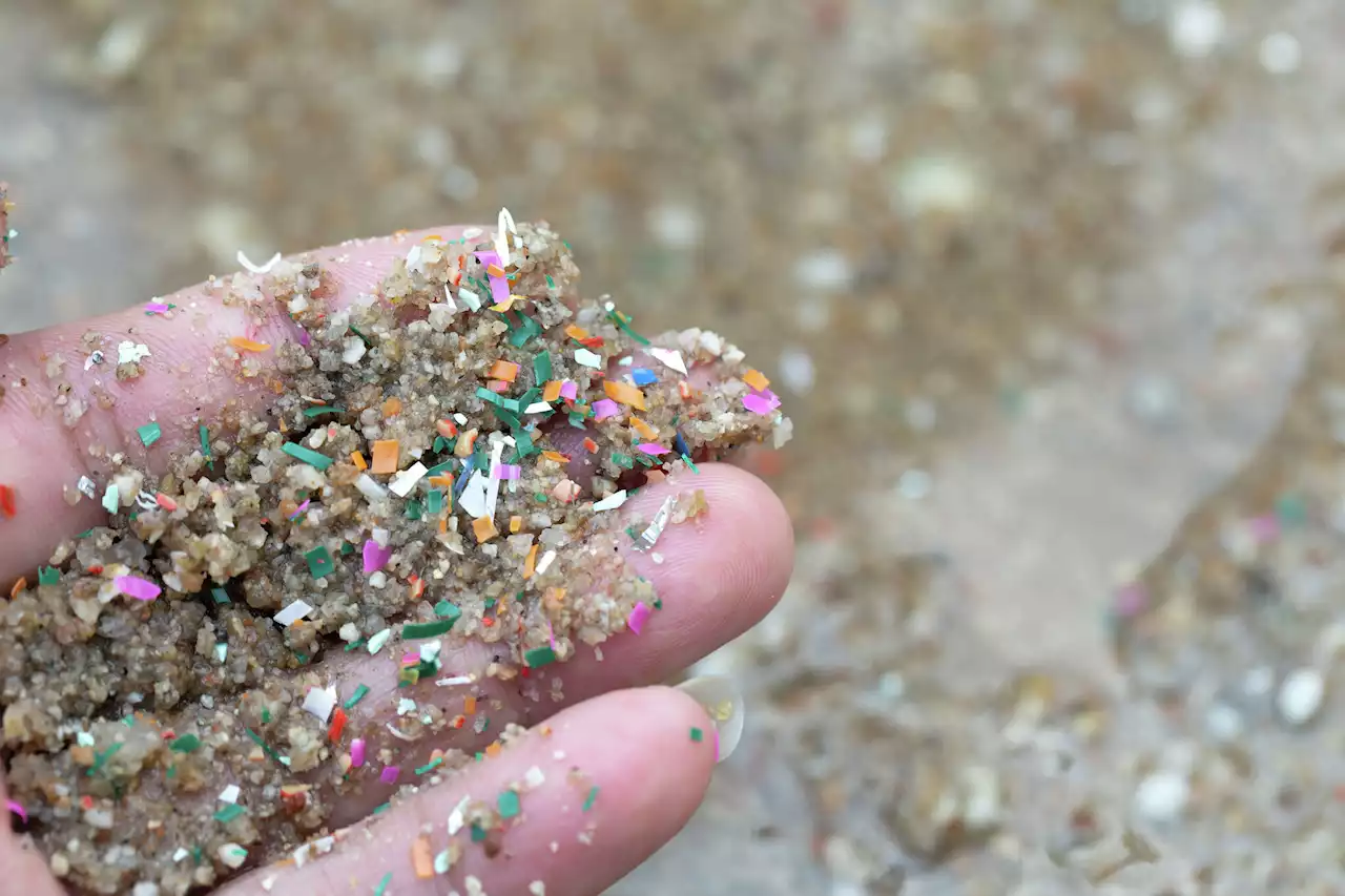 Microplastics are seemingly everywhere. Here's how to avoid them.