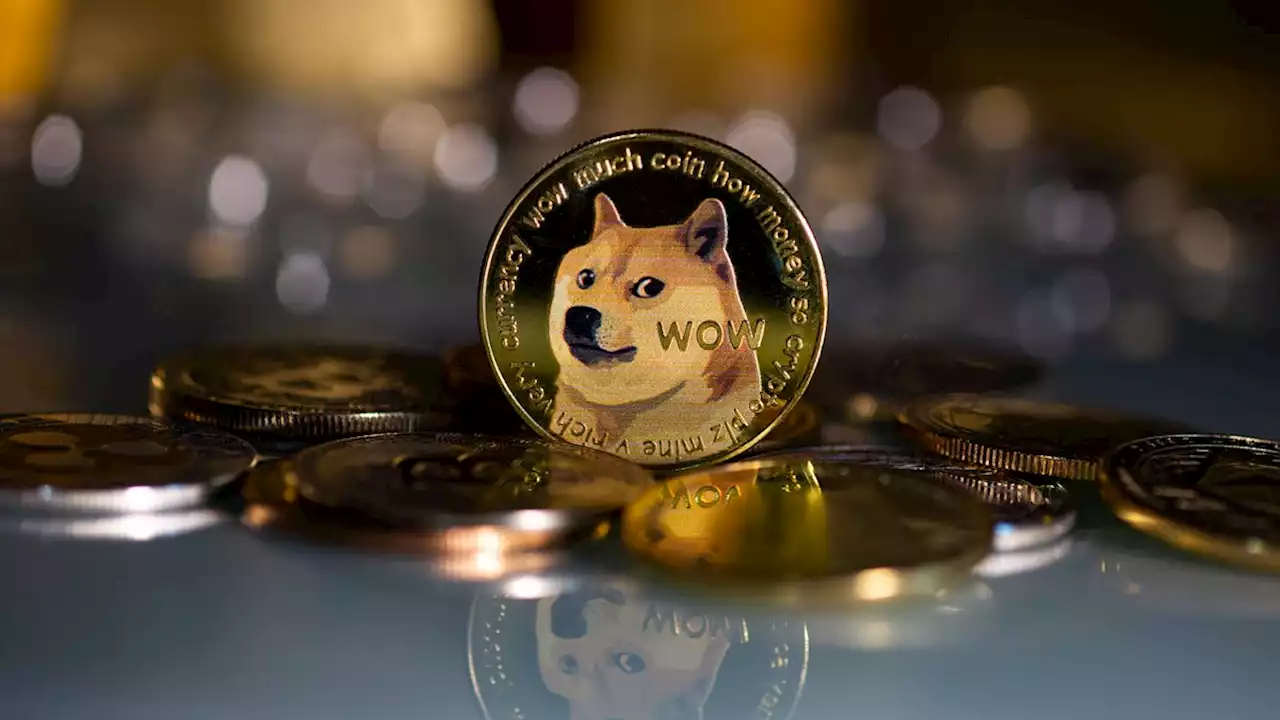 Not Wow, Much Sad: The Doge Dog Is Probably Dying