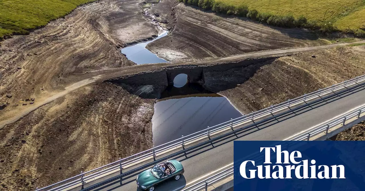 2022 will be warmest year on record in UK, says Met Office