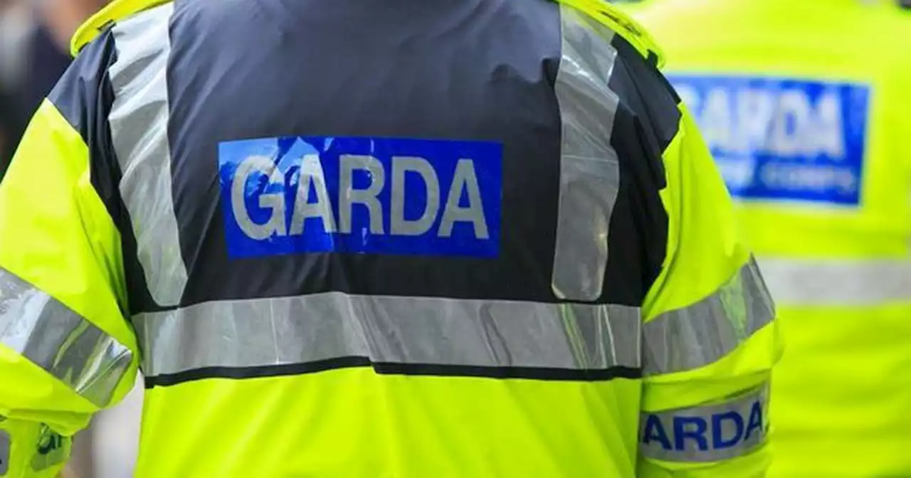 Garda allegedly pays criminal €300 to attack female colleague's home