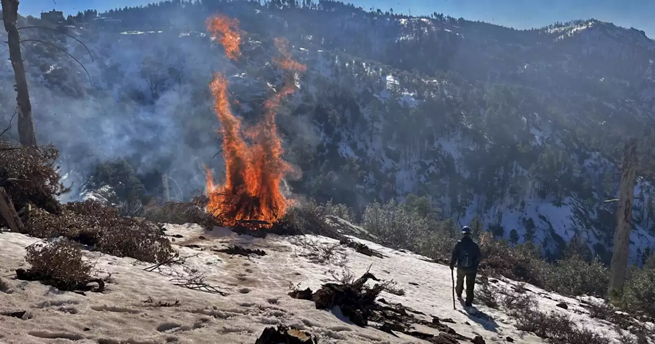 Prescribed burns on Mt. Lemmon planned for Wednesday, Dec. 28