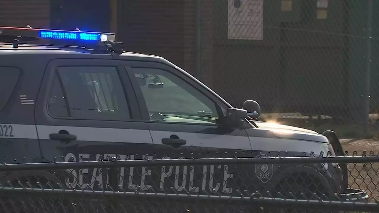 Seattle police investigating after woman hit in head with rock during robbery