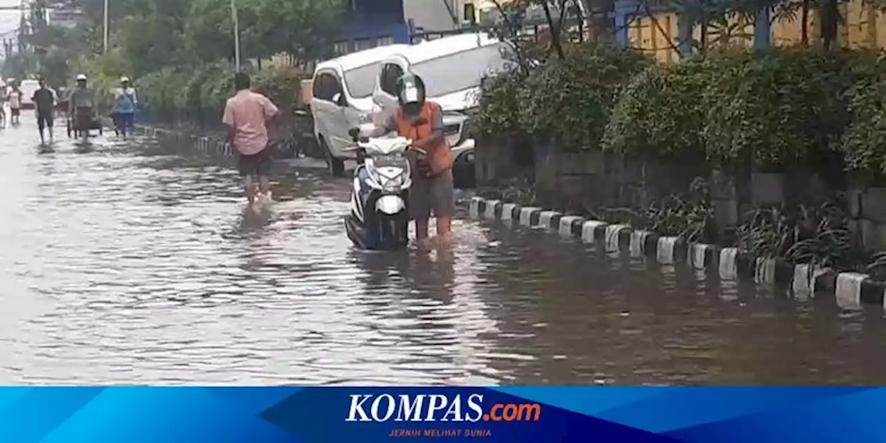 Solusi Banjir Rob di Utara Jakarta, Pemprov DKI Diminta Restorasi Kawasan Pesisir