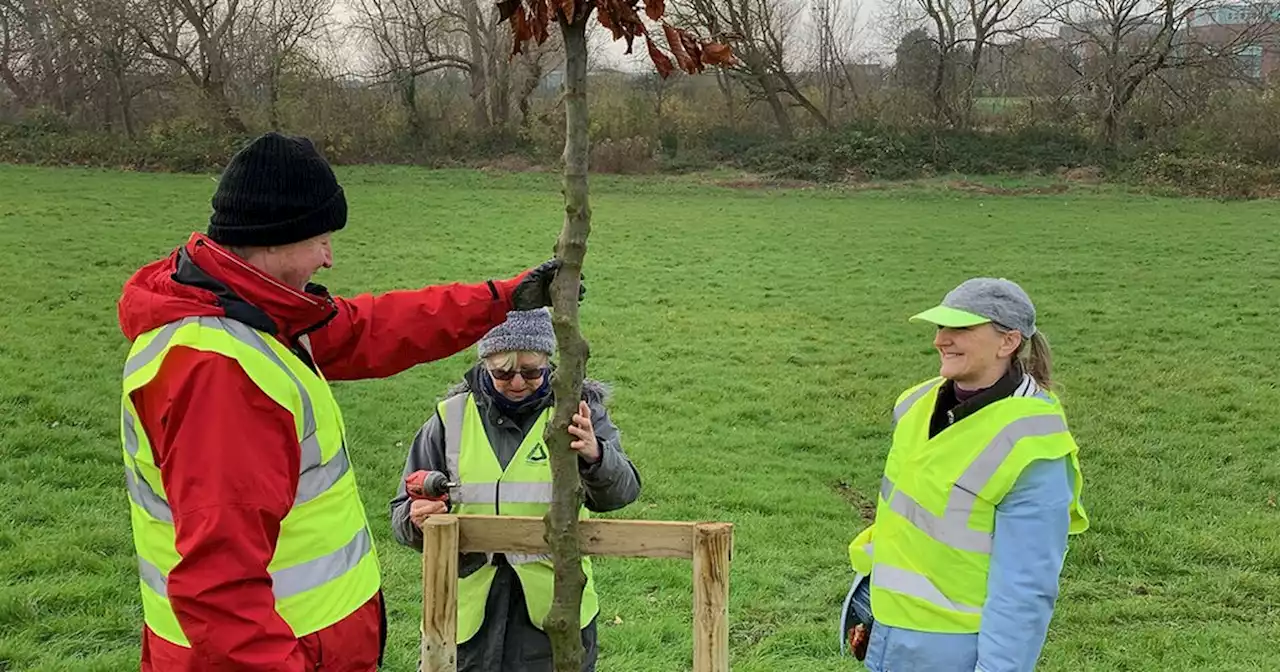 Over 2,000 trees on Blackpool estate as part of mini-orchards plan