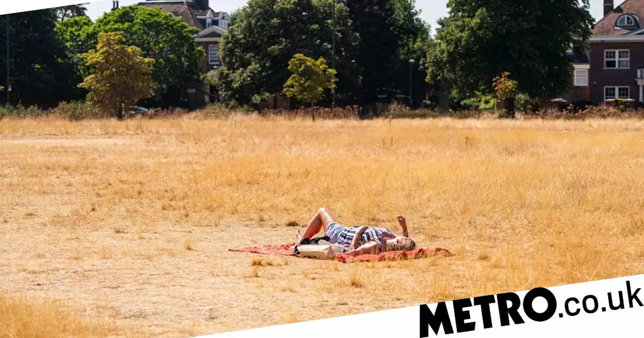 Met Office says 2022 will be the UK's hottest year ever