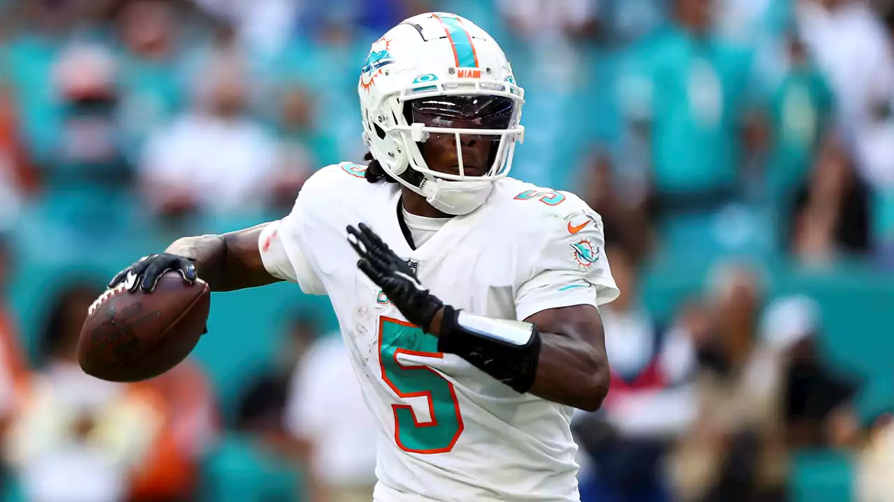 Dolphins Confirm Teddy Bridgewater Will Start Vs. Patriots; Get to Know Backup QB