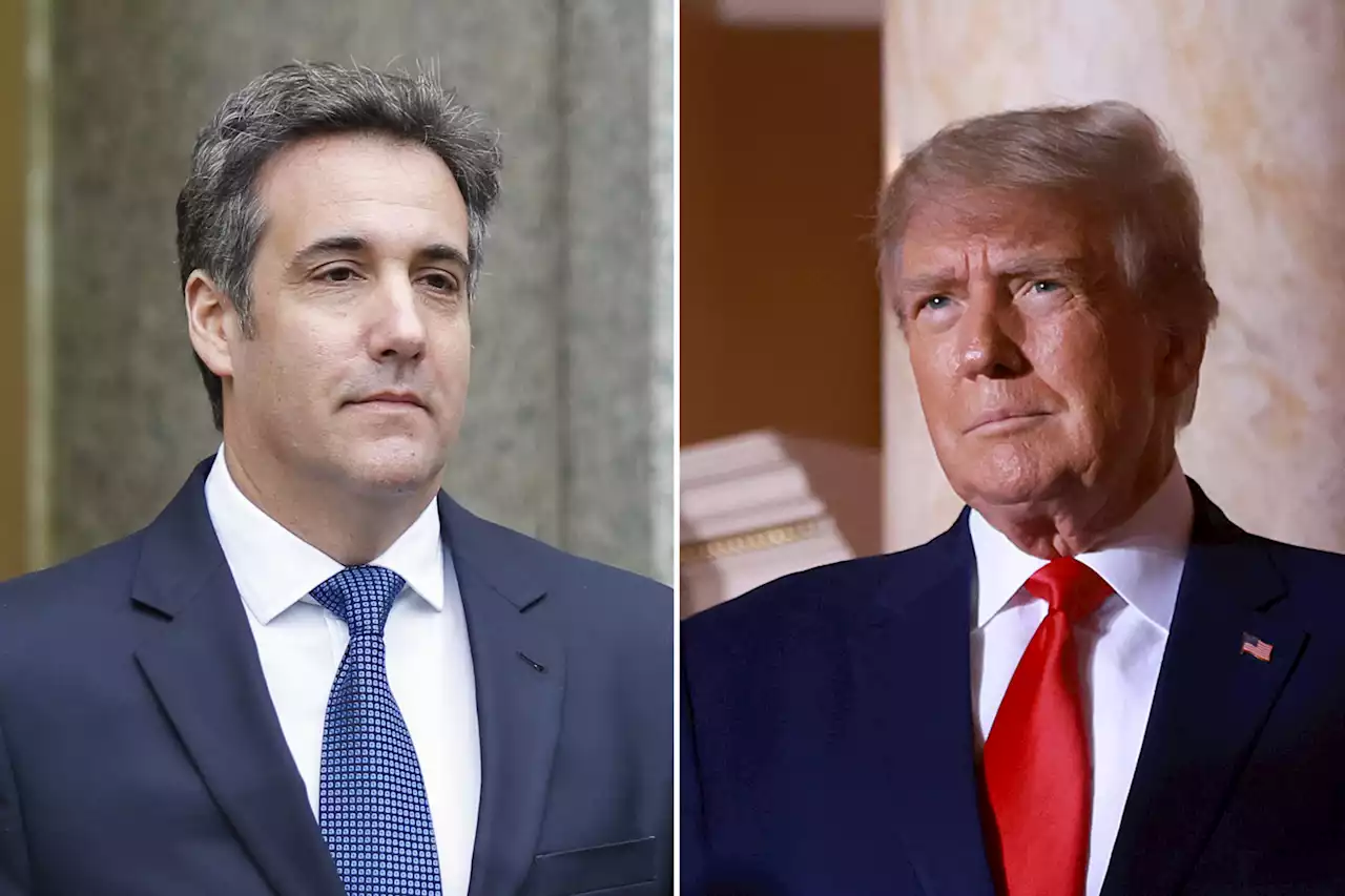 Michael Cohen slams Air Force veteran for supporting Trump: 'How sad'