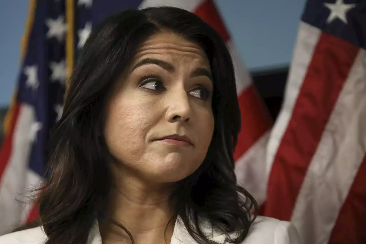 Tulsi Gabbard's 'annihilation' of George Santos receives unexpected praise