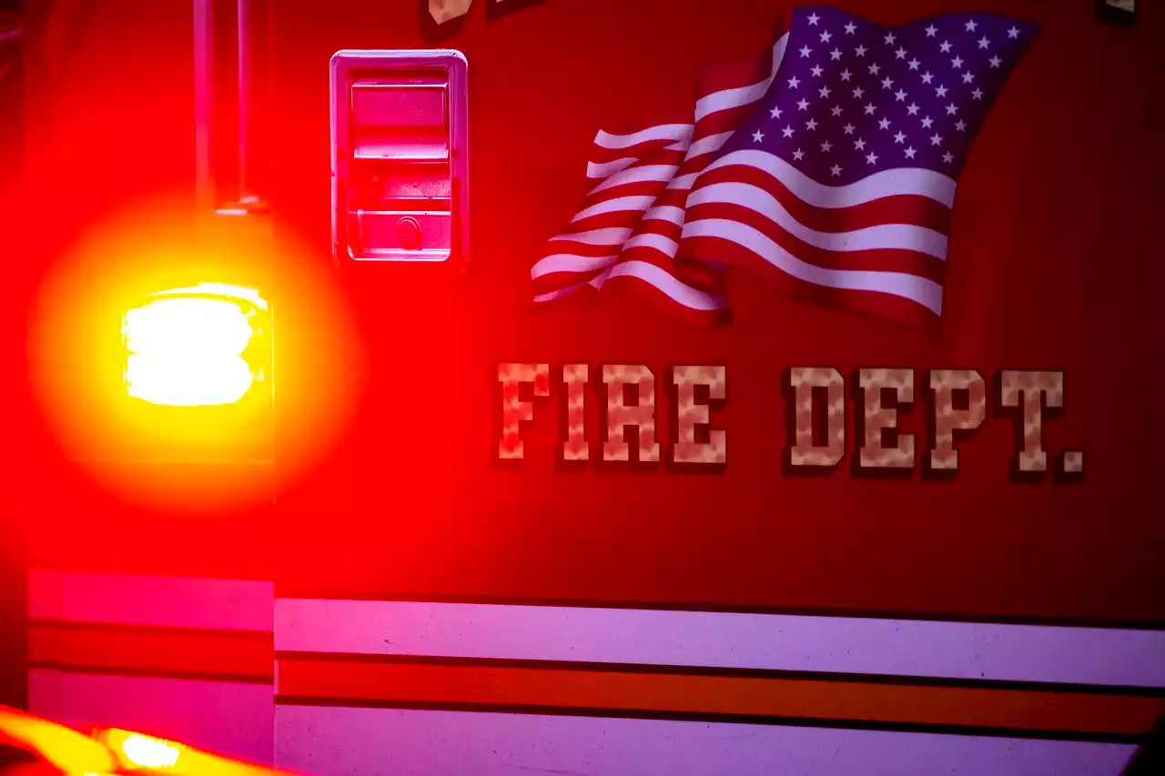 Firefighters save dog from frozen lake on Christmas Day in Pa.