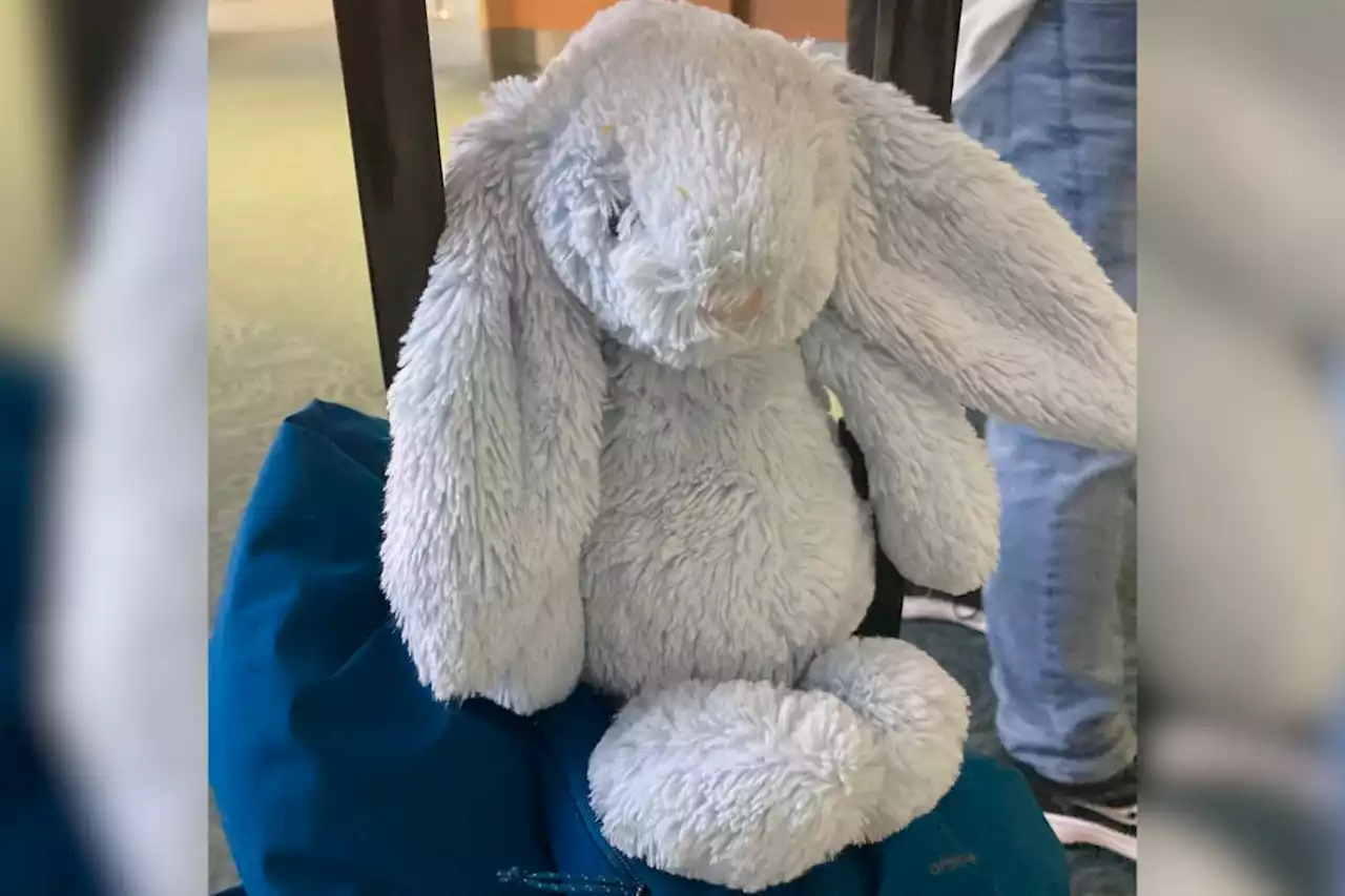 'Christmas miracle!’ Lost YVR bunny being reunited with family