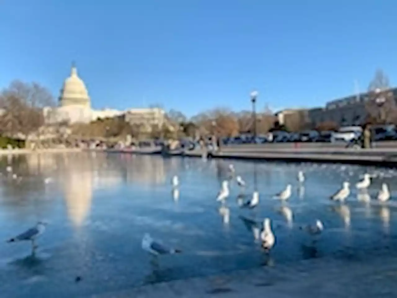 D.C.-area forecast: Warming up as we watch the chance of New Year’s weekend rain