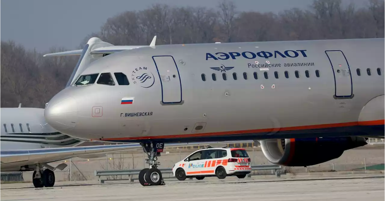 Aeroflot boss cals for 'state protectionism' to defend Russian aviation