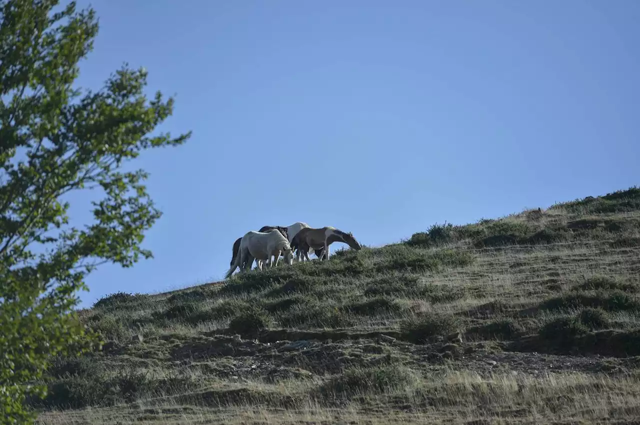 Pays basque : après une sécheresse exceptionnelle, la crainte d’un été 2023 encore pire