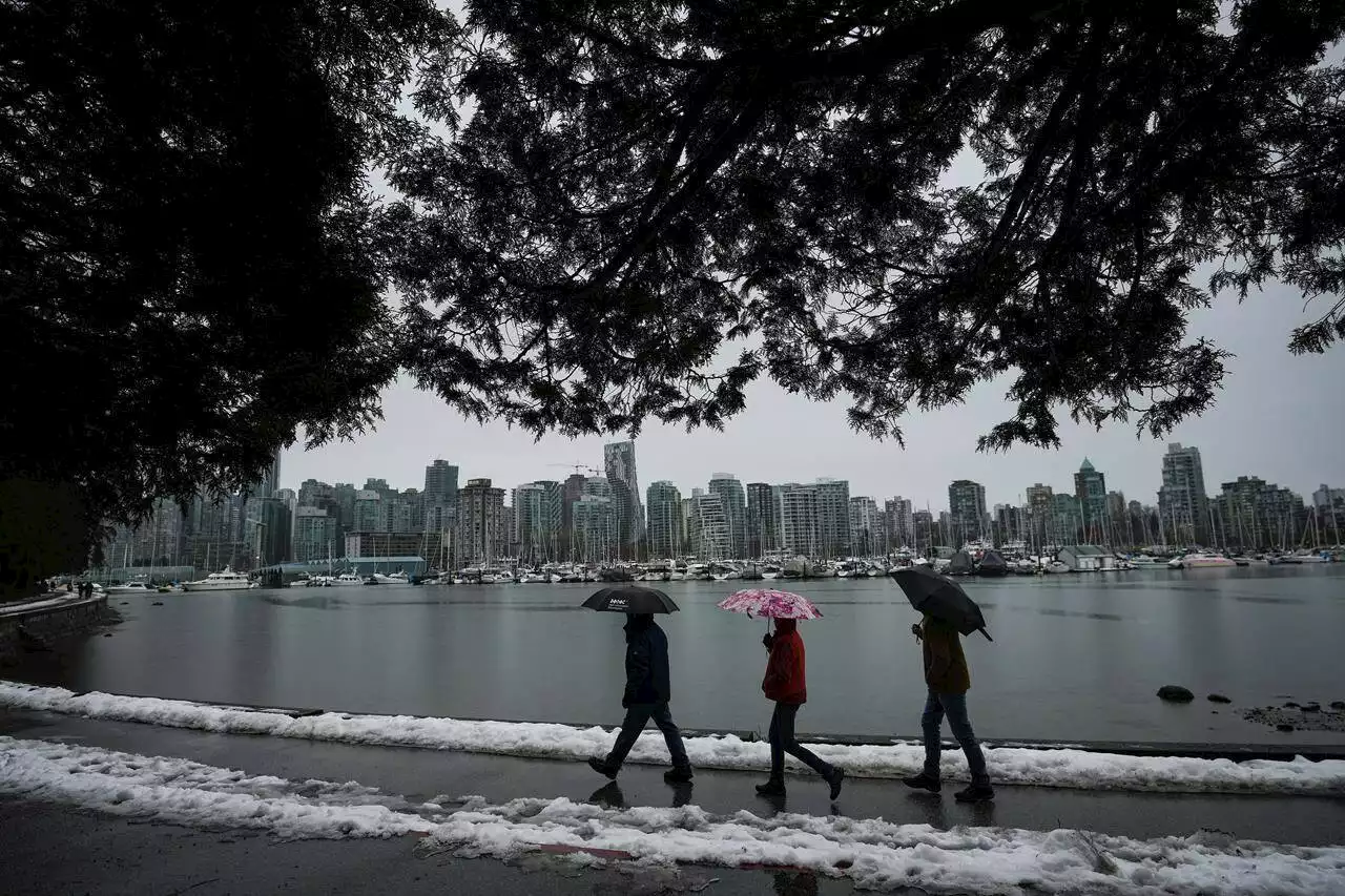 Rain, run-off from recent snow, surging tides raise flood concerns in parts of B.C. - Terrace Standard