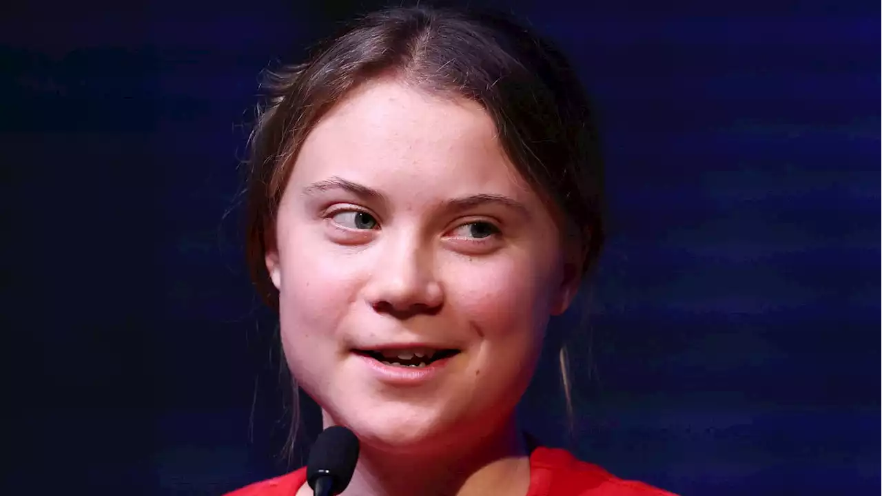 Greta Thunberg Roasts Kickboxing Champion Andrew Tate