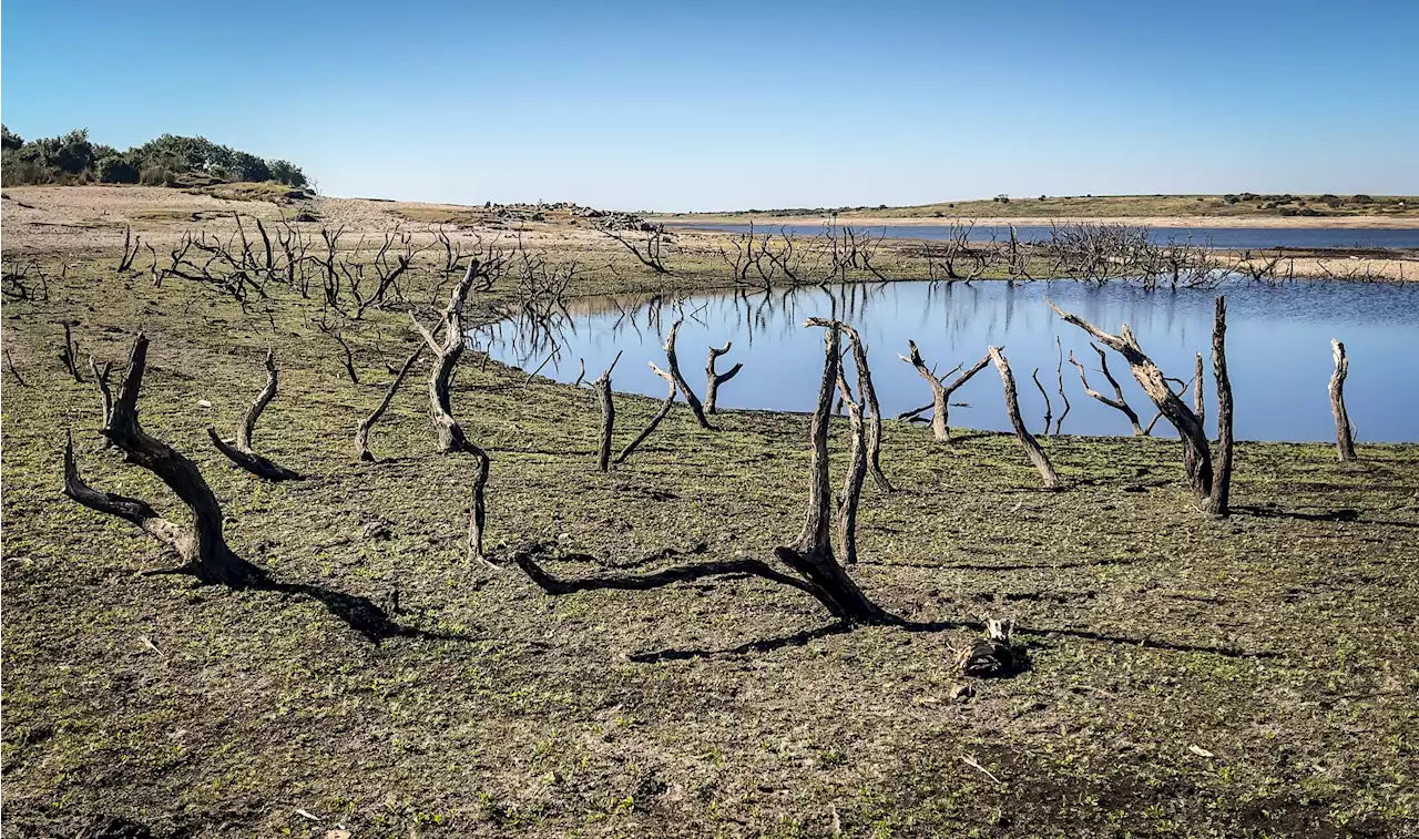 2022 is UK's warmest year on record due to human-induced climate change, Met Office says