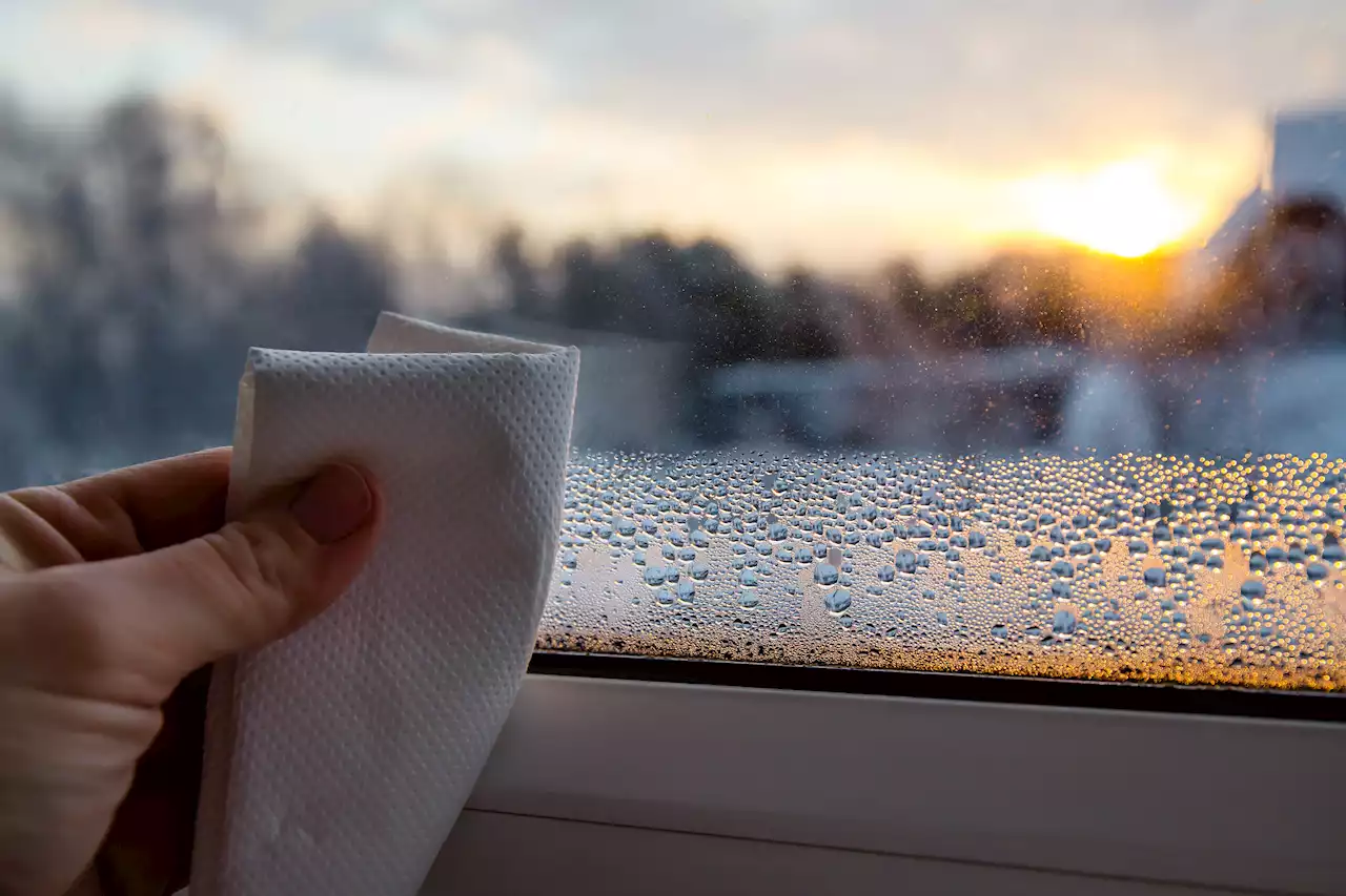 How to banish condensation from your home for good - and get rid of mould too