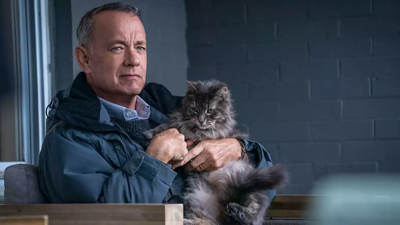 ‘A Man Called Otto’ Review: Tom Hanks in a Predictable but Touching Portrait of Grief and Resilience