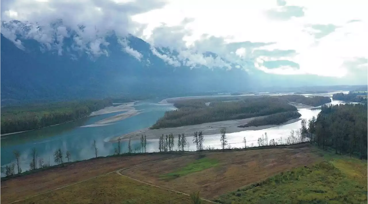 B.C. Parks Foundation buys key riverfront along Fraser River