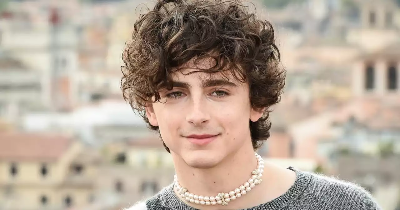 Timothée Chalamet shares adorable throwback to celebrate his 27th birthday