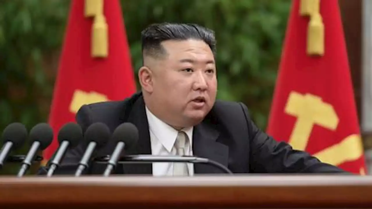 Kim Jong-un unveils North Korea's new military goals